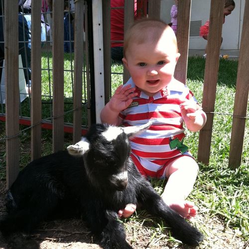 My son just hanging out in our petting zoo with Pe