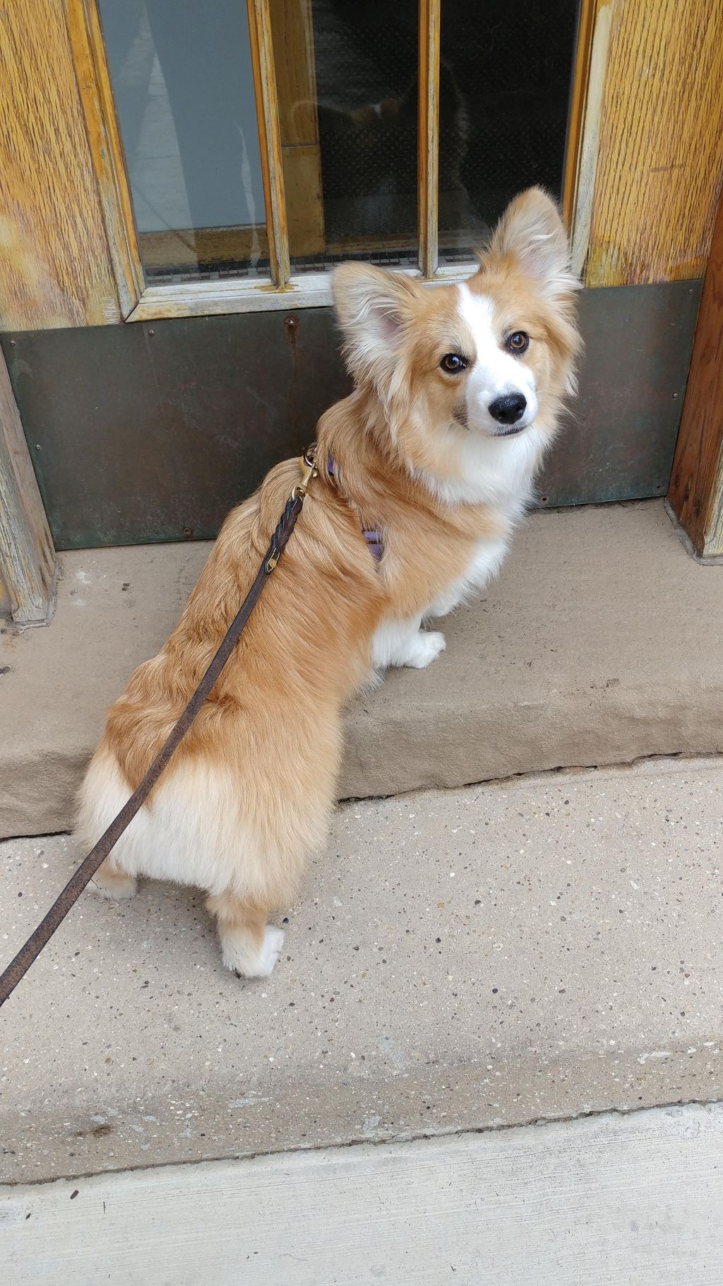 Do we have to go back inside?!