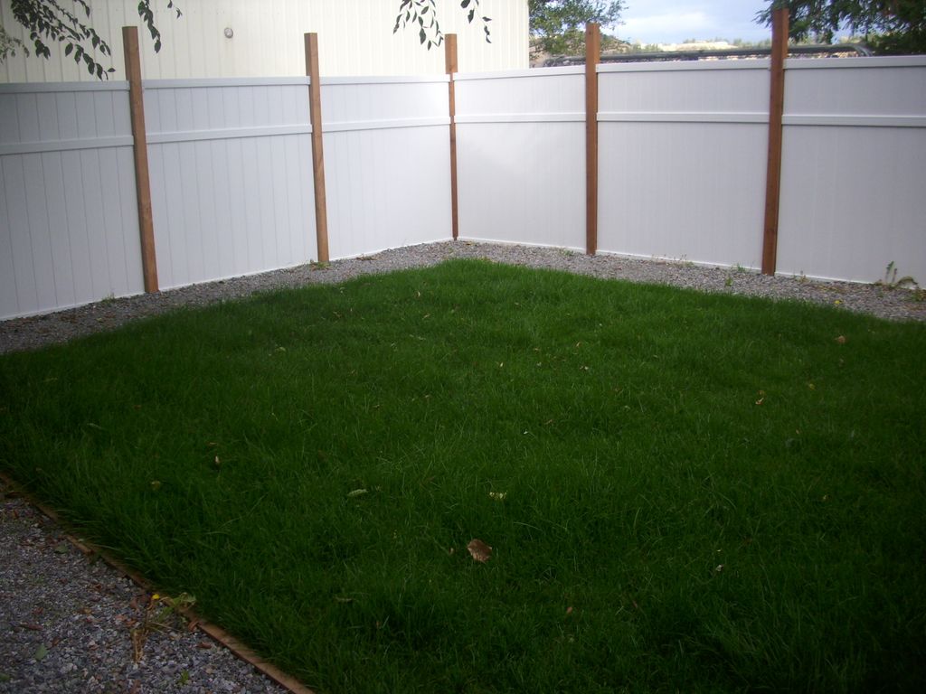 outdoors (double fenced yard for protection)