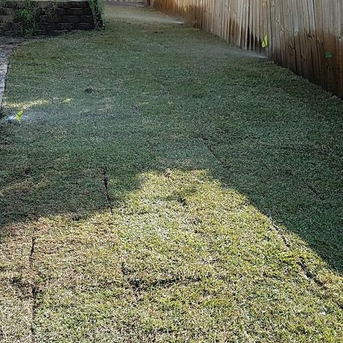 Sod install on right side of back yard.