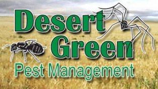 Desert Green Pest Management