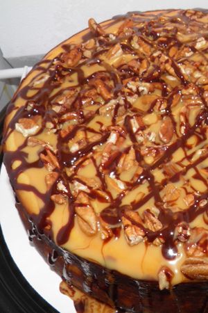 Turtle Cheesecake
