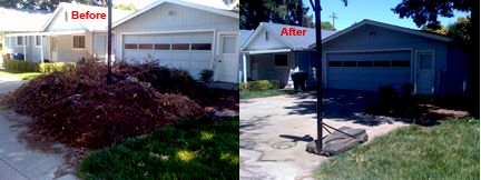 Before and After Greenwaste Removal