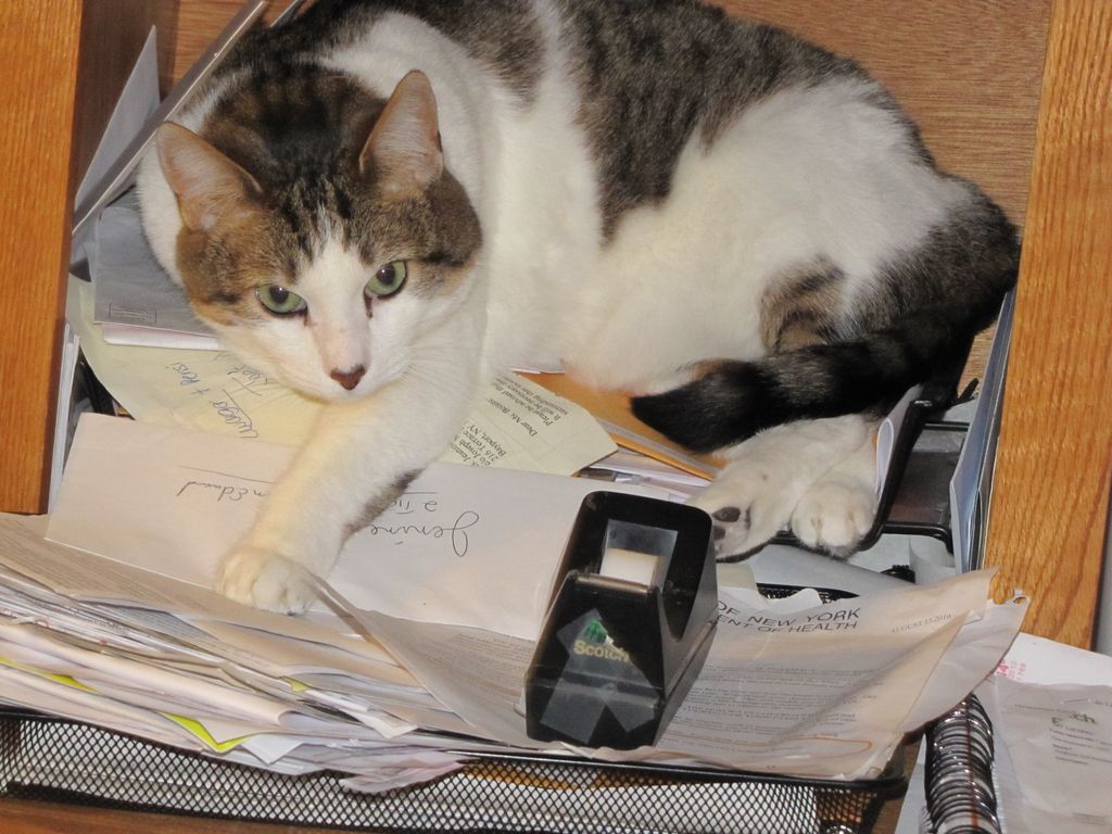 Sometimes when the workload gets to be a bit much,