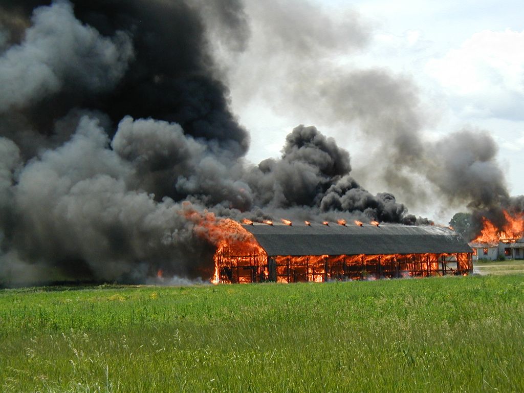 Not what you want to see happen to your homestead.