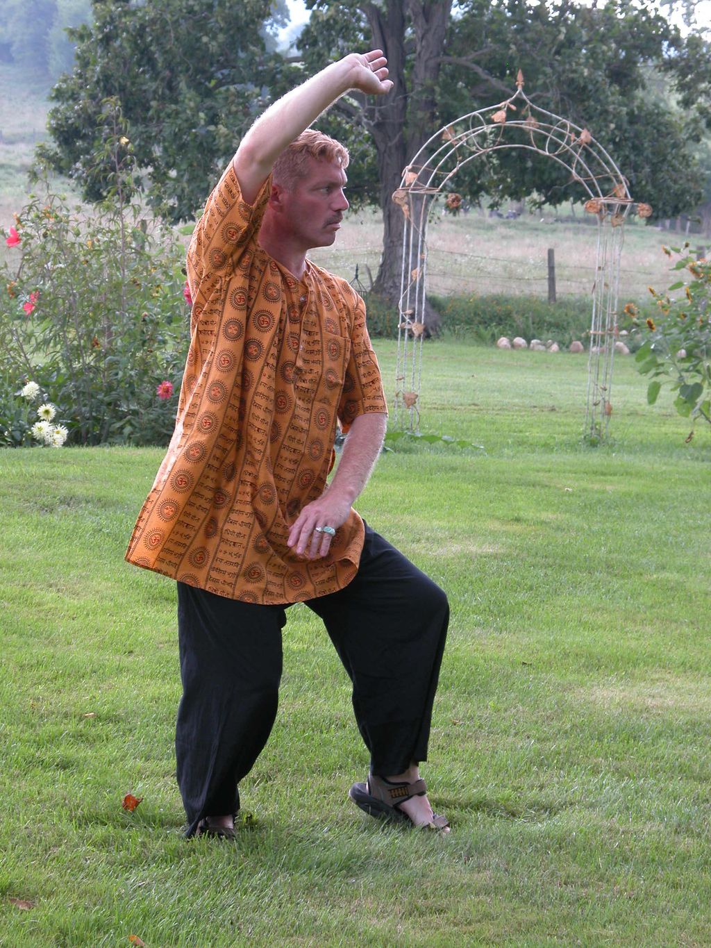 Yang style Tai Chi Quan, Crane spreads wings