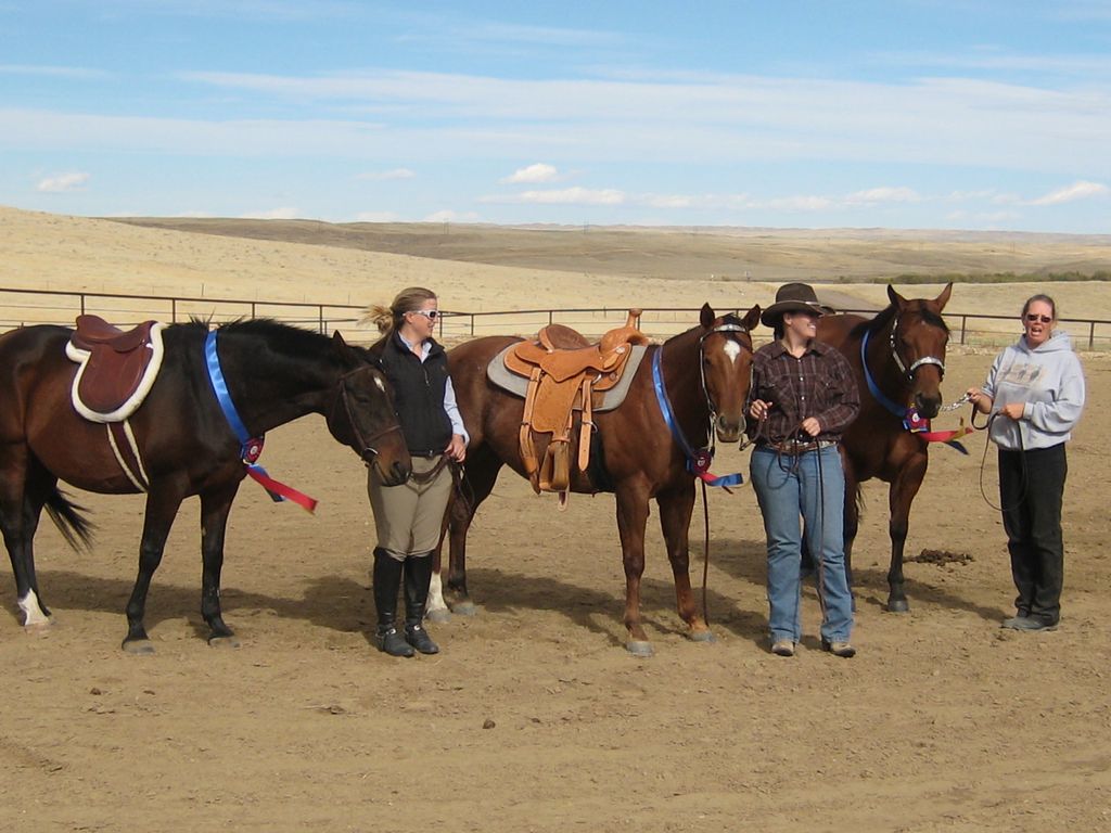 2011 Platte Ridge Equestrian Saddle Series Horse S