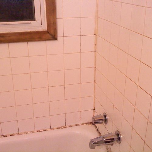 Cleaned residential bathroom wall and tub #2