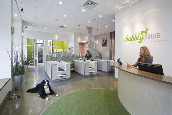 Retail Dog Wash by U+B Architecture & Design of Mi