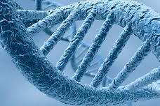 Epigenetics and Nutrition is the key to Extending 