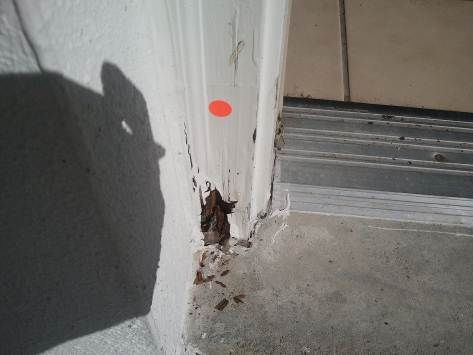 Wood rot detected around front door on trim.