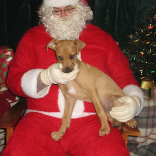 Our yearly Pet with Santa Photos.  Every Dec 2nd &