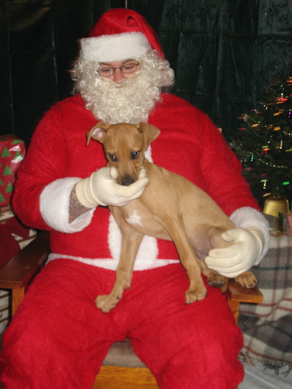 Our yearly Pet with Santa Photos.  Every Dec 2nd &
