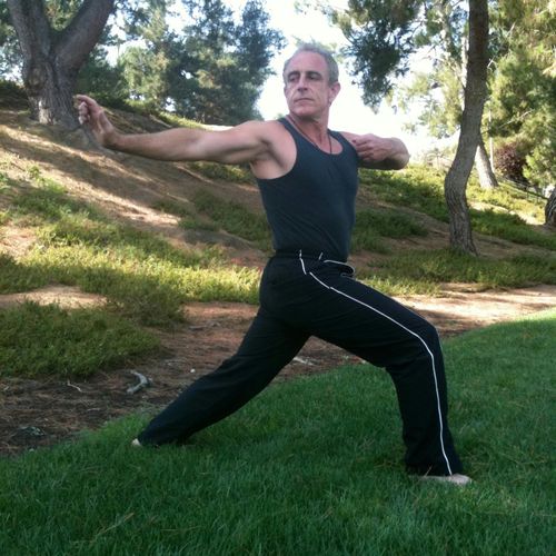 Tai Chi - Bow Stance with The Archer.