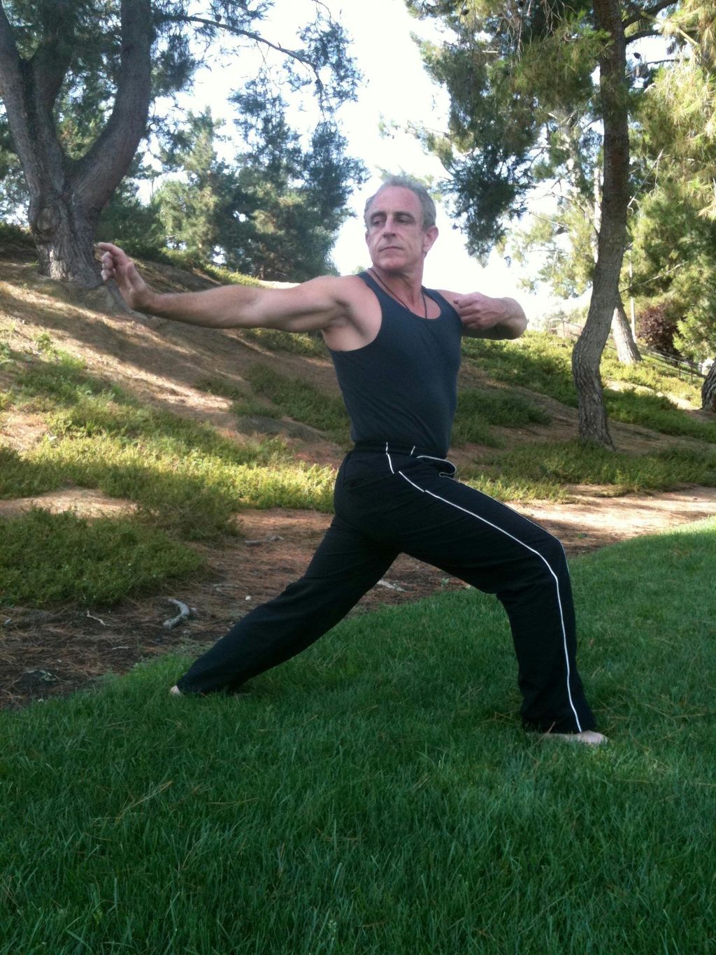 Tai Chi - Bow Stance with The Archer.