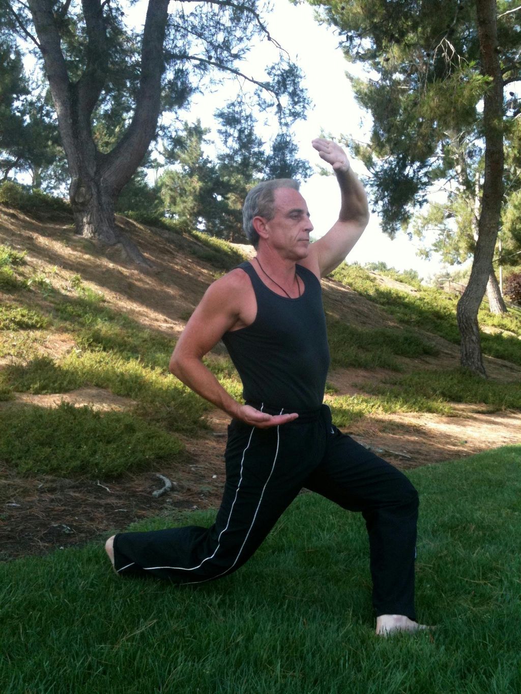 Tai Chi - Cross Stance with High Block.