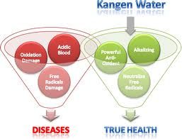 Alkaline and purified water provider.  Kangen dist