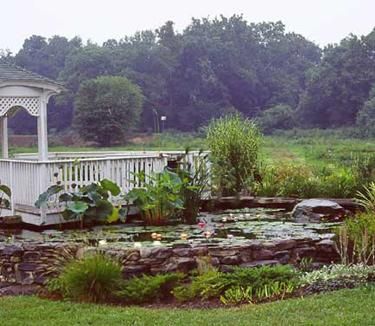 Gazebo display pond @ our retail store.