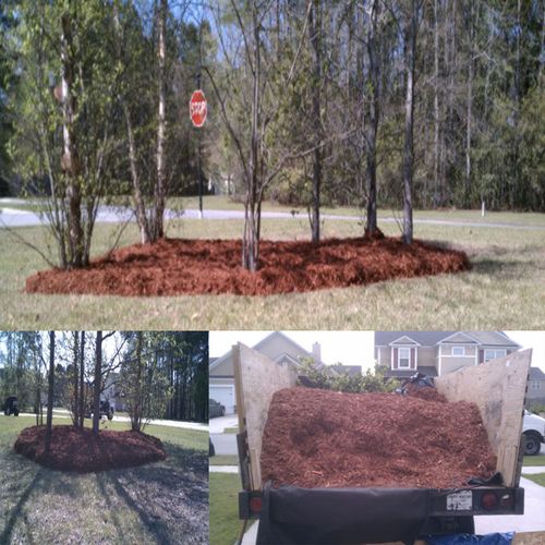 Red Mulch Installation and delivery - Savannah, GA