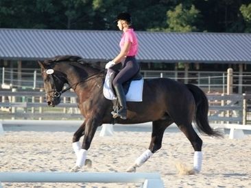 Dressage with Linda Morales @ Wyngate Equestria...