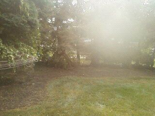 After Major Cleanup!!!