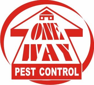 One Way Pest Control