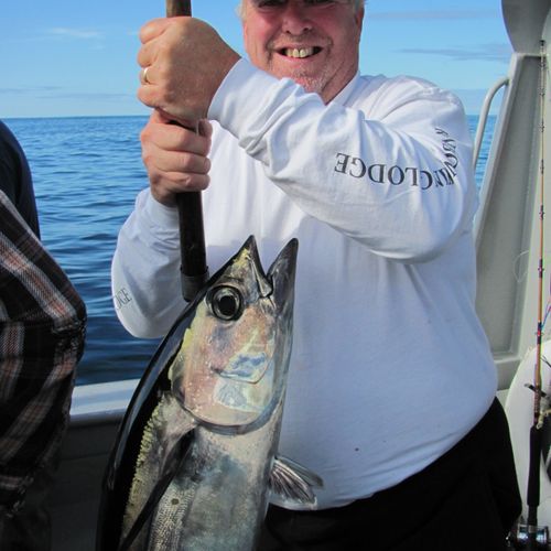 Albacore Tuna ,off of the Oregon Coast. What a Gas