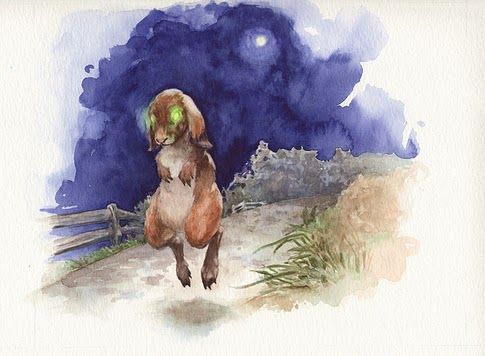 Spooky Hare, for 826DC
