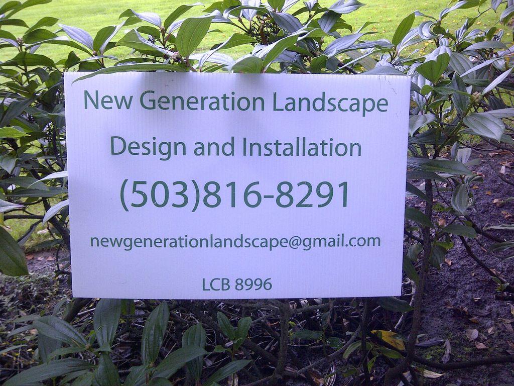 New Generation Landscape