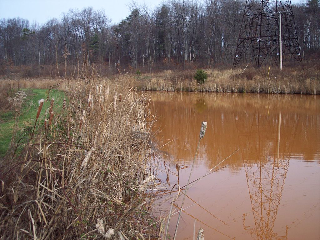 AMD Treatment Wetlands along Dundee Rd. treating m