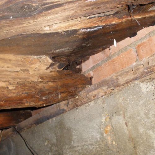 We inspect the crawl space under Pier and Beam Fou