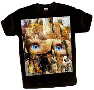 sample design
