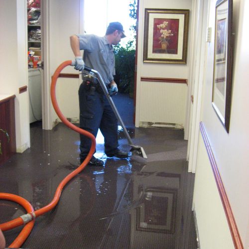 Carpet Cleaning Service Stamford CT