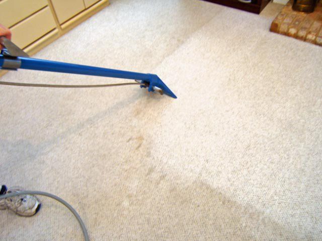 Steam cleaning a white berber carpet