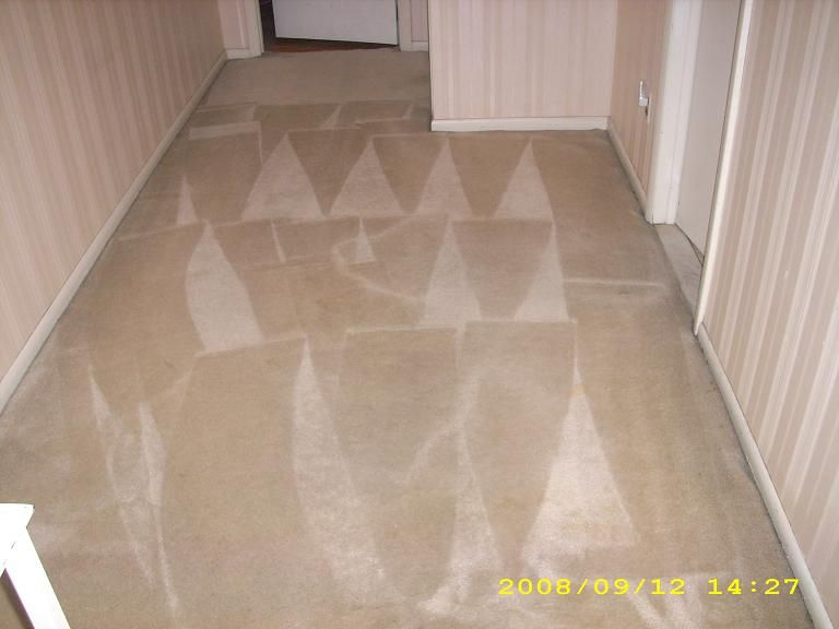 Hallway carpet (AFTER)