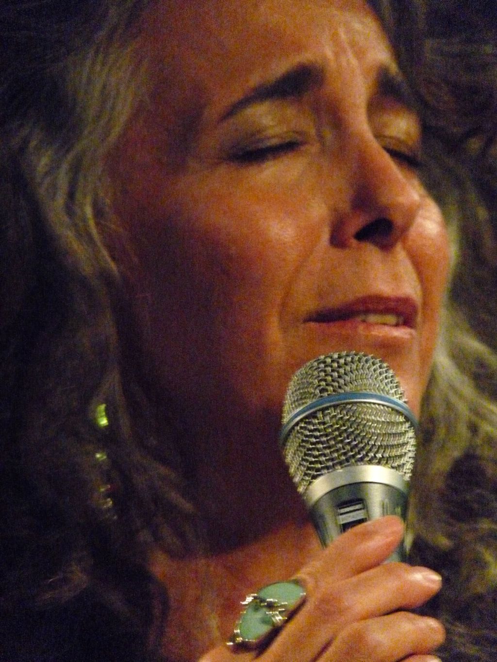 Cathy Segal-Garcia Vocal Productions