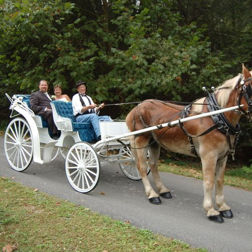 Arrive by Horse Drawn Carriage , selected sites on