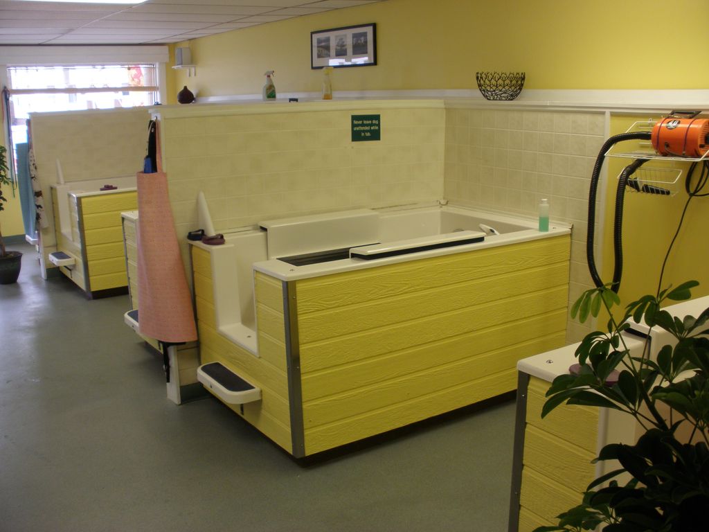 5 custom elevated dog wash tubs fit all size dogs.