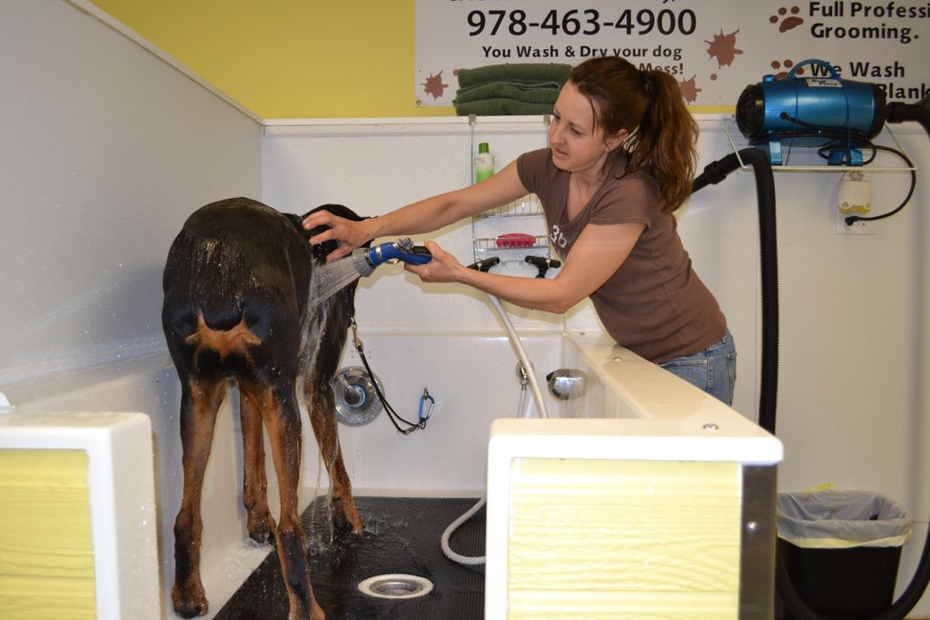 Rubber matts for traction. Dog is secured in tub.