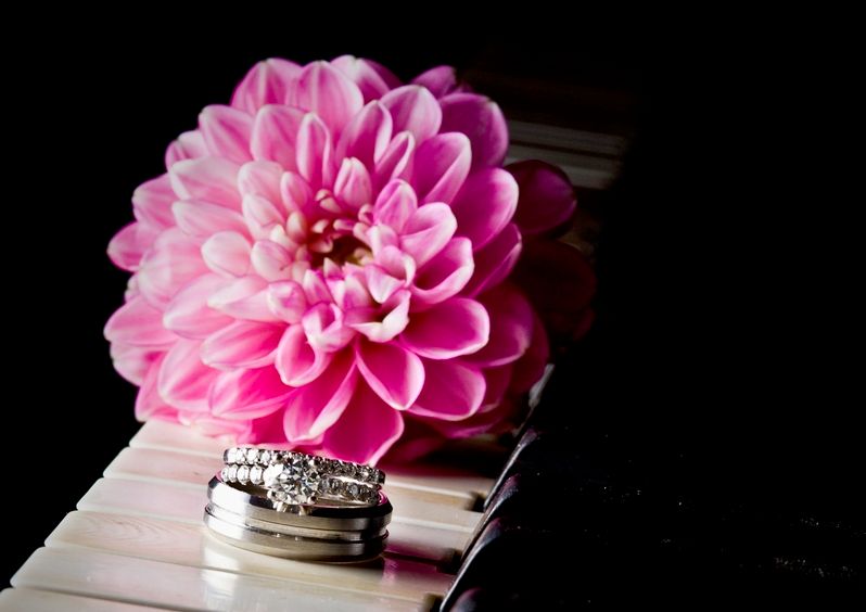 revel & bloom | wedding and event design