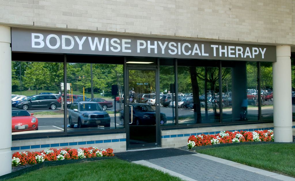 BodyWise Physical Therapy and Acupuncture