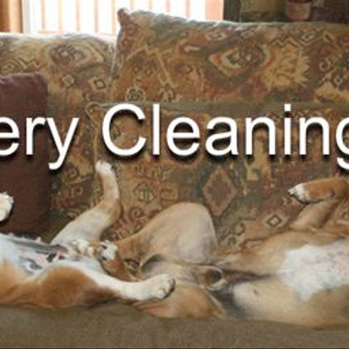 Denver Carpet Cleaning and Upholstery Cleaning. Bu