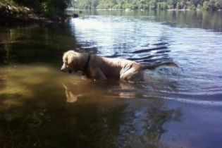 Its hard to swim when you get distracted by your o