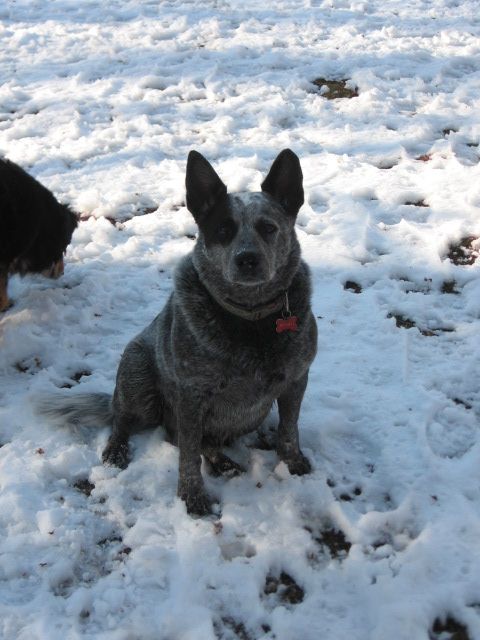 Enjoying the weather...rain, snow, sleet, or shine