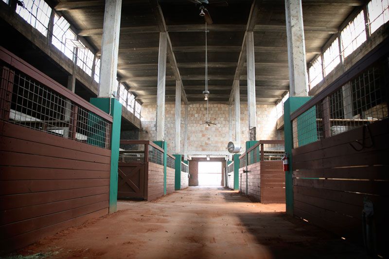 Dallas, Fort Worth, Texas, Horseback Riding, Stabl