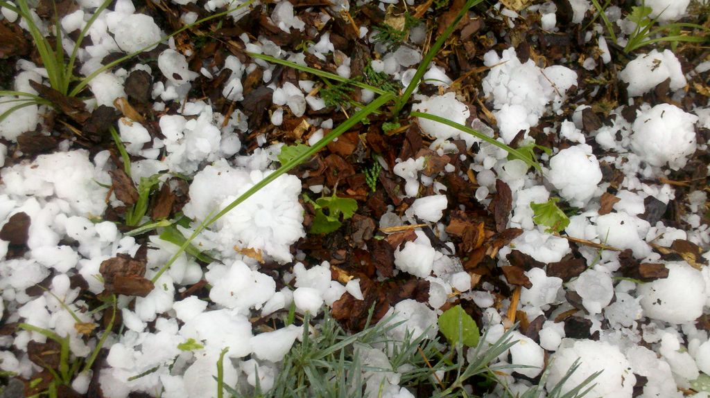 Hail Storm 2011