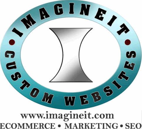 Imagine IT Custom Website Logo