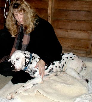 ReikiShamanic session for terminally ill dog.
