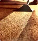 Reality Restorations Carpet Cleaning