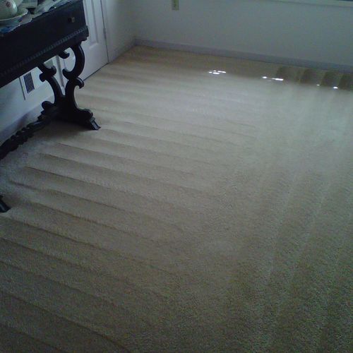 Roto-Vac cleans another customers carpet up good a